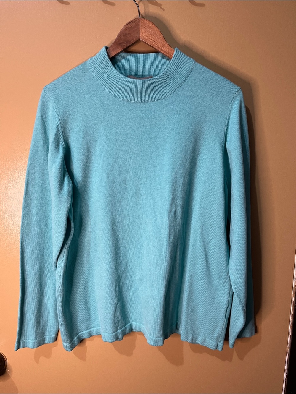TanJay Woman’s Sky Blue Turtleneck Sweater | LG